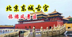 性感小骚屄在线观看中国北京-东城古宫旅游风景区